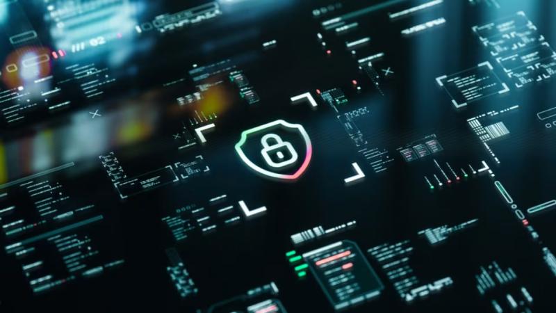 湘西软件开发公司